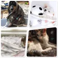 Puppy Cat Paw Print Planta lavável e fofa